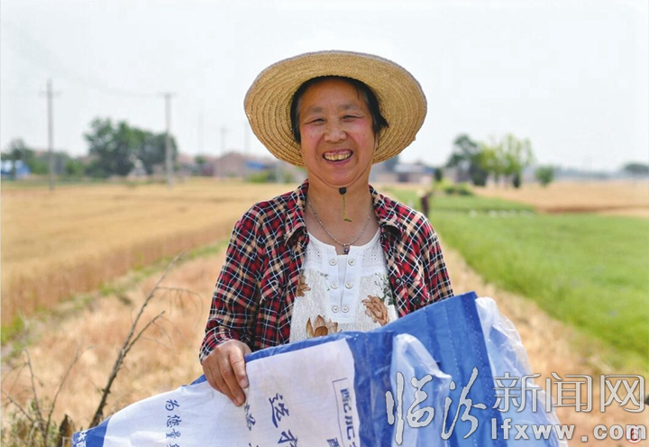 襄汾:志愿幫扶戰三夏 龍口奪食搶收忙