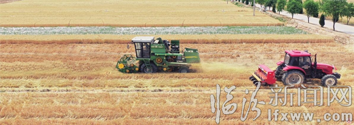 襄汾:志愿幫扶戰三夏 龍口奪食搶收忙