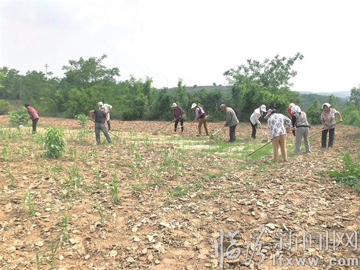 視覺新聞:臨汾這些事