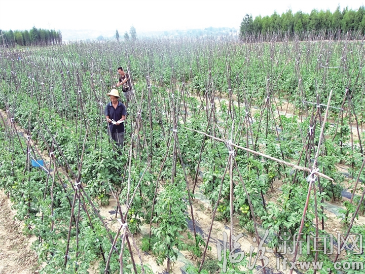 視覺新聞:臨汾這些事