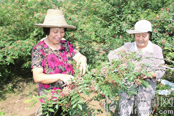 視覺新聞:臨汾這些事