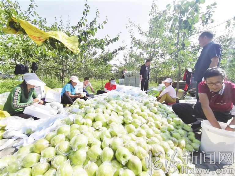 隰縣:一顆梨托起八萬農民小康夢