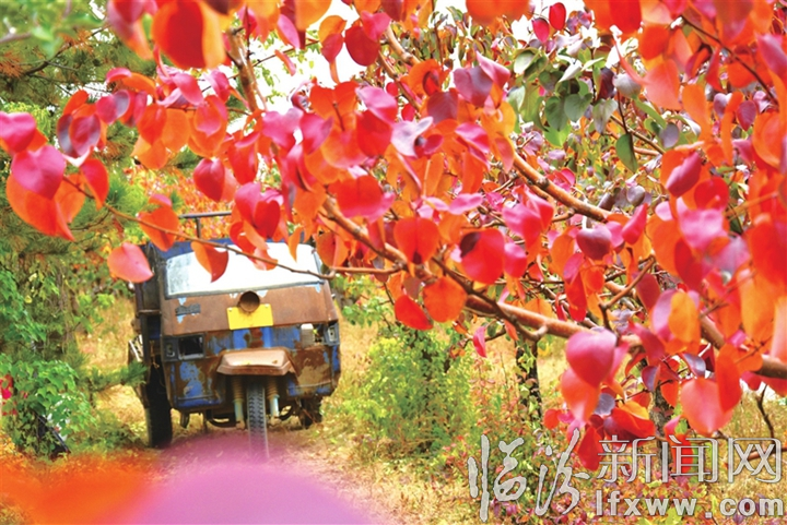 視覺新聞:臨汾這些事