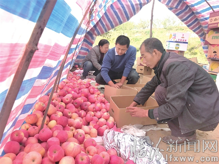 視覺新聞:臨汾這些事