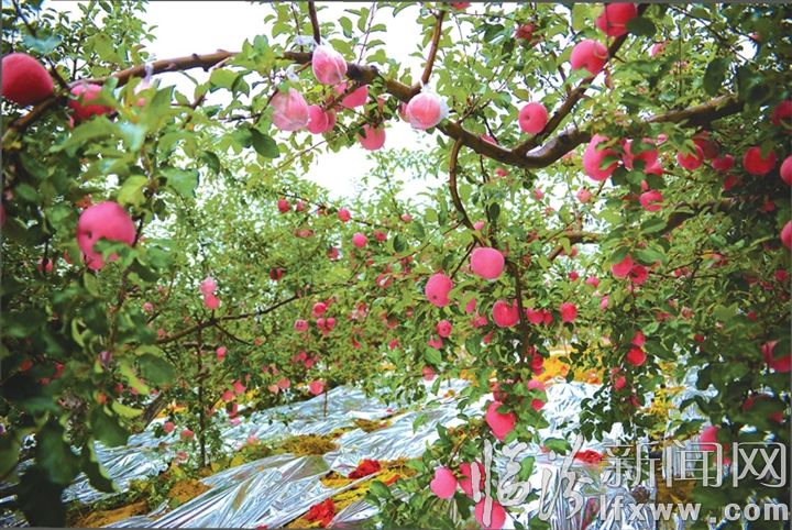 深度貧困的永和變了