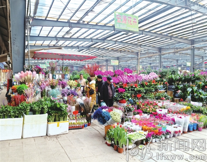 臨汾:熙熙攘攘買年貨 紅紅火火迎春節