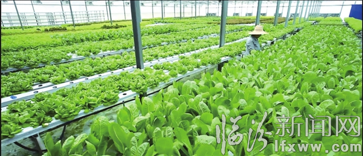 曲沃縣2020年十大轉型項目正式開工