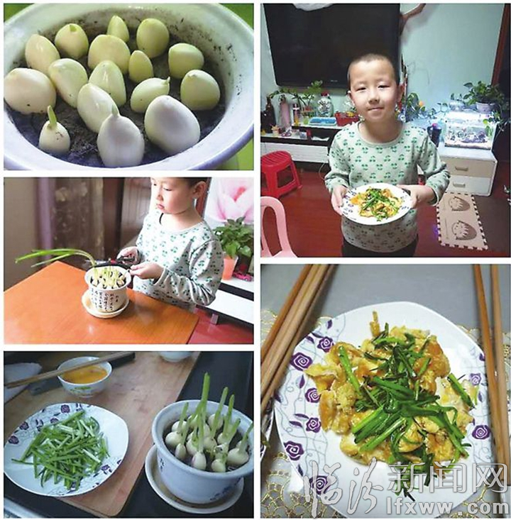 臨汾日報小記者:跟著萬能叔叔一起“水培蔬菜”吧!