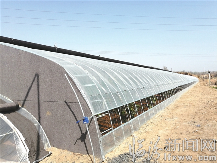 山西果信農業科技發展有限公司建設500畝物聯網智能設施農業項目