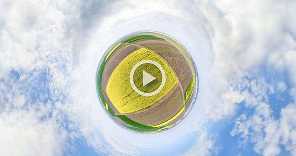 3月13日，VR鏡頭下的武漢市蔡甸區群豐村油菜花田。