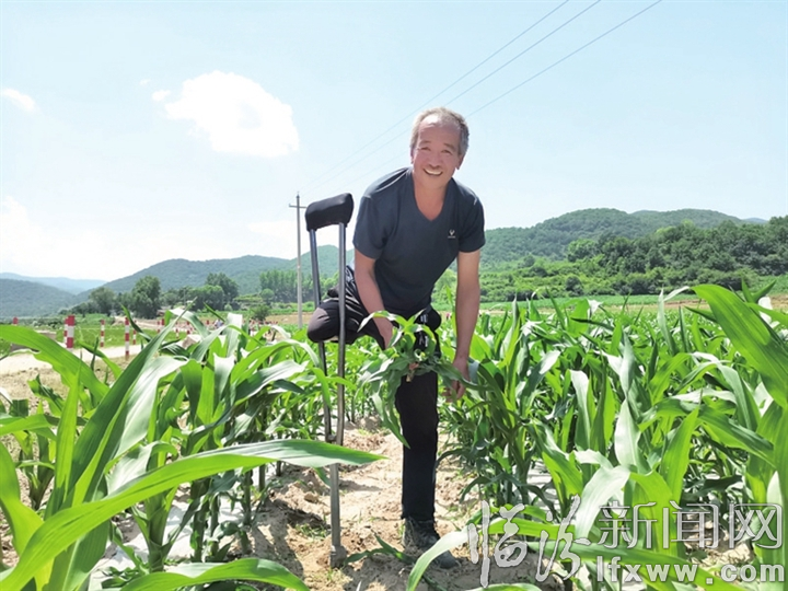 隰縣張來貴:獨行俠脫貧記