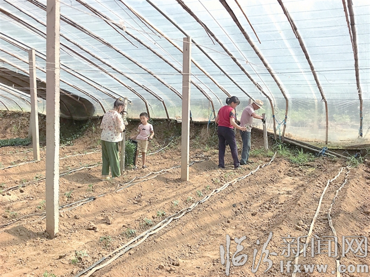 安澤飛嶺村:盤活沉睡的資產