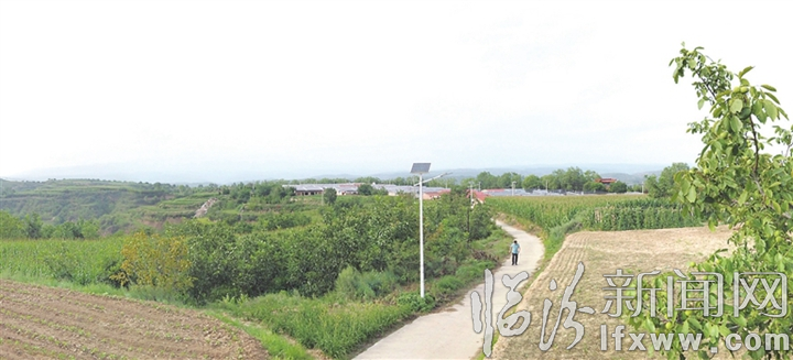 古縣五馬嶺村:土里刨出的幸福日子