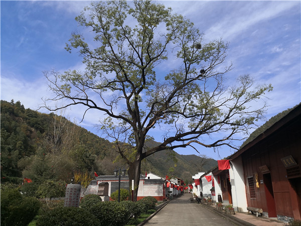 已經是最后一頁了