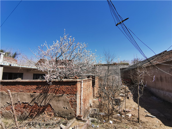 已經是最后一頁了