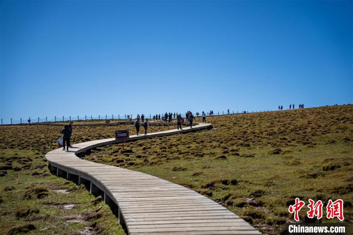 游人正在馬侖草原游覽。　馬夢迪 攝