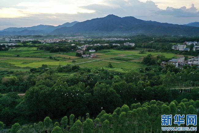 微信圖片_20231225103516.jpg 圖片