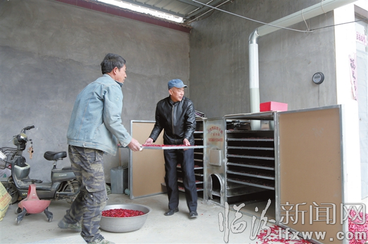 引導發(fā)展“N”個特色產(chǎn)業(yè) ——特色種植.jpg