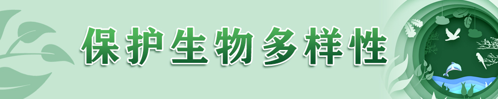 保護(hù)生物多樣性