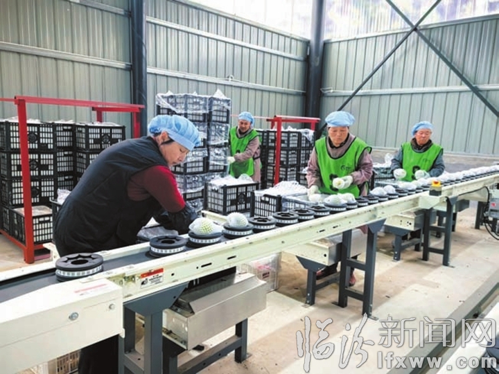 智慧分揀 品質為王.jpg