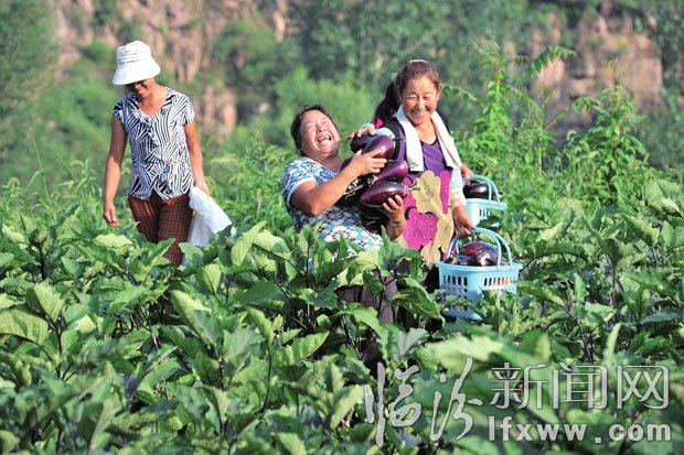 收入增加了，農民臉上露出了笑容。 