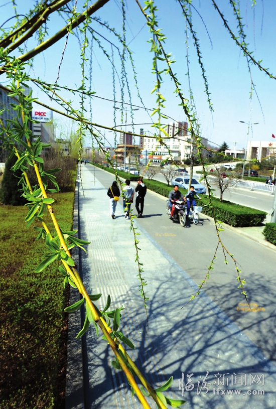 春分時節 春意濃