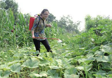 干起農活有板有眼