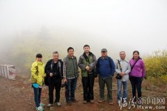 堯都區攝影人關注安澤的連翹花