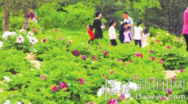 大美臨汾(組圖)