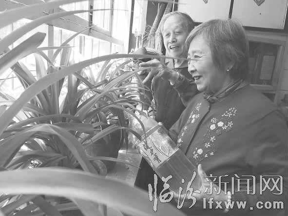 臨汾“鉆石婚”夫婦的幸福經