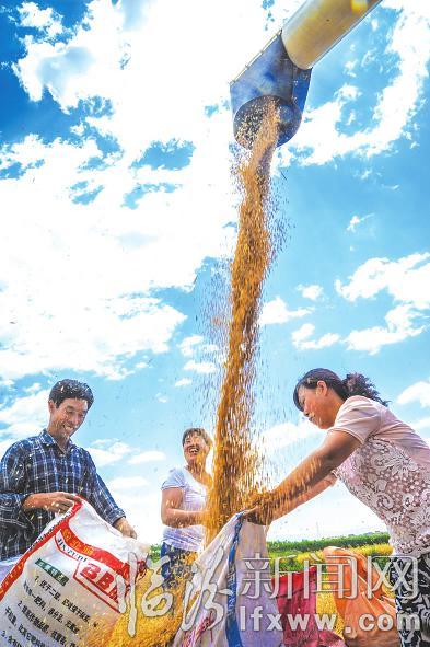 臨汾多部門聯(lián)合作業(yè)服務農(nóng)民保夏收