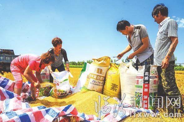 臨汾多部門聯(lián)合作業(yè)服務農(nóng)民保夏收