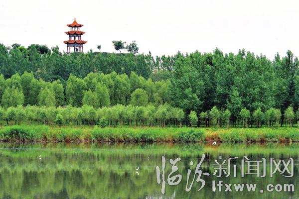 臨汾汾河公園小白鷺