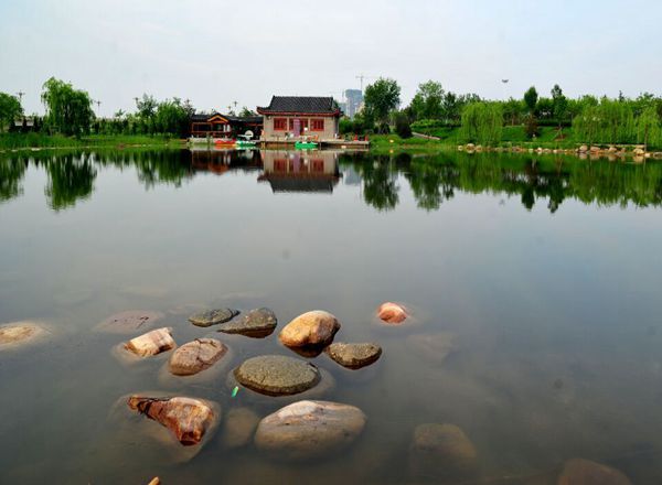 我的家鄉，我的歌（6張）