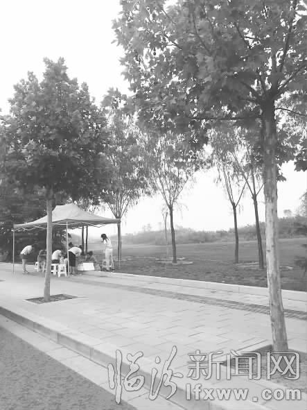 草坪燒烤成風 “顏值”受損誰之過?