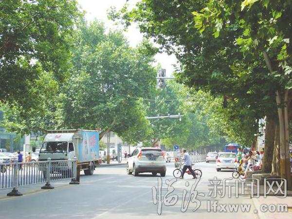 臨汾市區部分樹木遮擋交通指示燈