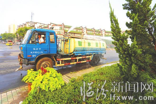 高溫下的綠化工