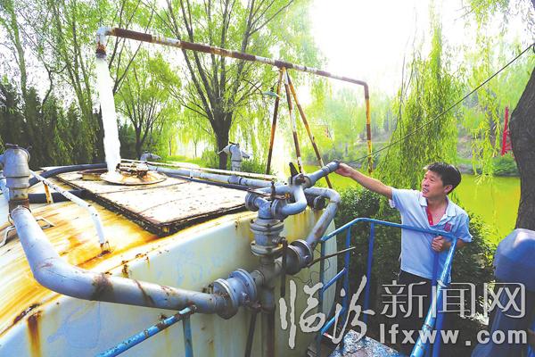 高溫下的綠化工