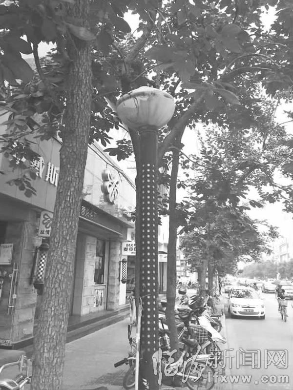 臨汾那些被我們“忽視”的公共設施之“遍體鱗傷”的城市路燈