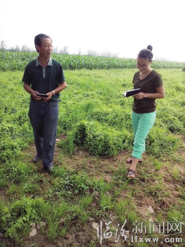 賈雙茹在田間地頭。