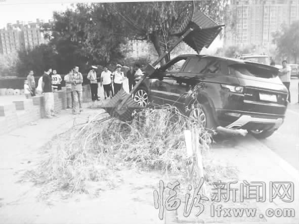臨汾“恍惚哥”揪心孩子入學駕車撞了燈桿碰了樹