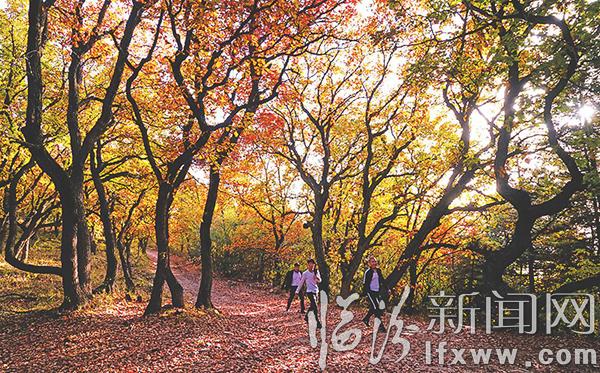 臨汾姑射山 秋景如畫