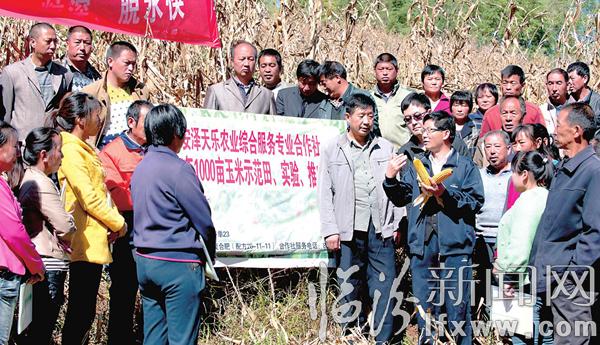 安澤冀氏鎮(zhèn):收獲季節(jié)農(nóng)民自家地頭忙學(xué)習(xí)