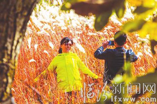 吉縣人祖山:正是紅葉迷人時