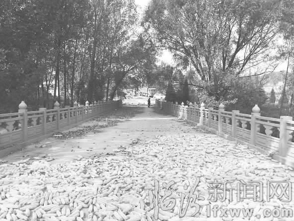 滄桑古橋——交里橋