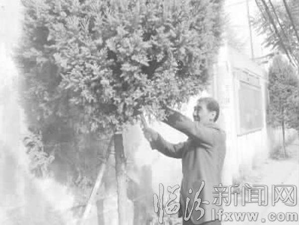 臨汾孫建成:一心裝滿小區事 樂于奉獻獲好評