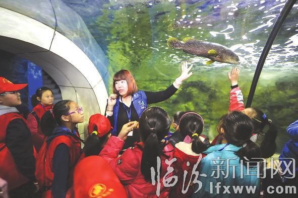 臨汾晚報:小記者開啟奇妙之旅 探秘海底世界