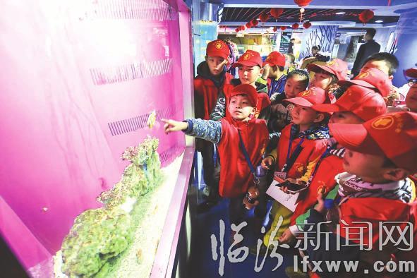 臨汾晚報:小記者開啟奇妙之旅 探秘海底世界