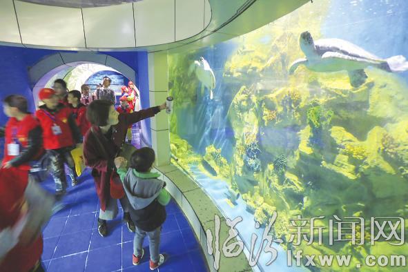 臨汾晚報:小記者開啟奇妙之旅 探秘海底世界