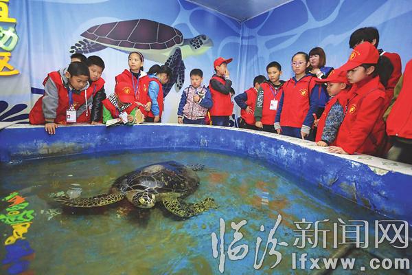 臨汾晚報:小記者開啟奇妙之旅 探秘海底世界